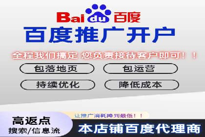 电商行业SEM运营的挑战与成功案例